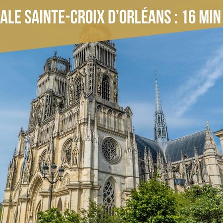Le St Paterne, Hyper Centre, 3 Chambres Tt Confort Орлеан Экстерьер фото